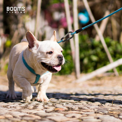 Fishing Multi Tool 10Pcs 4/5/7cm D-ring Aluminum Aalloy Carabiner Clip Outdoor Travel Hook Buckle Karabiner Camp Equipment